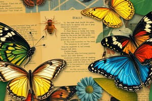 Tropical Butterflies Quiz