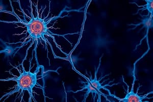 Glial Cells in the Nervous System