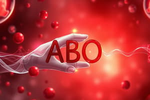 ABO Blood Group System