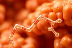 Cholesterol Synthesis, Transport, and Circulation