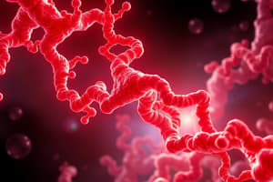 Hemoglobin Structure and Formation