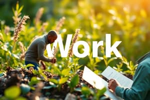 The Purpose and Importance of Work