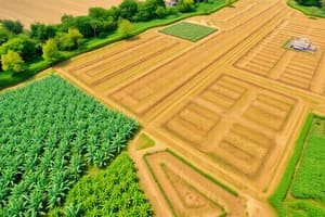 Land Take and Agriculture in the Caribbean