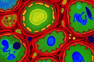 Biology Chapter: Cell and Tissue Quiz