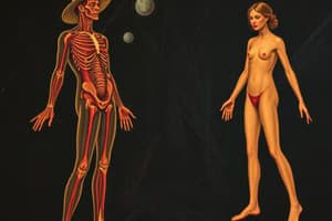 Biology Chapter on Body Systems