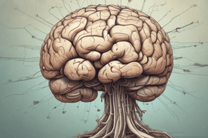 Anatomy of the Thalamus