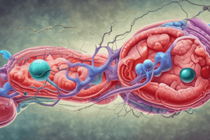 LDL Receptor-Mediated Endocytosis