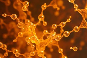 Glycomics and Molecular Configuration