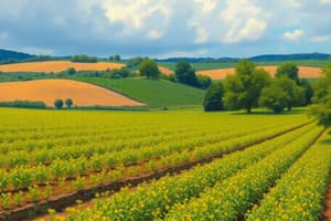 Conventional Agriculture and Its Ecological Impact