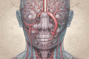 Respiratory System