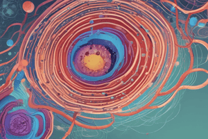 Nuclear Envelope and Molecule Transport