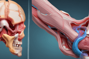 Signs and Symptoms of Bone Fractures