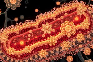 Cell Parts and Functions Quiz