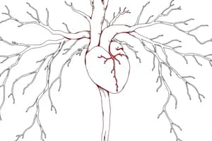 Sistema Cardiovascolare e Circolazione Fetalità (Fisio 18)