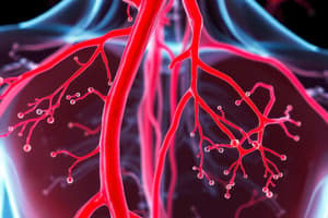 Circulatory System: Arteries and Capillaries