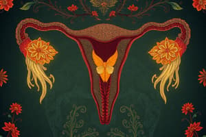 Human Reproductive System Overview