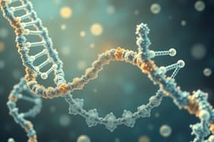 Nucleic Acids: Nucleotides, Sugars and Nitrogenous Bases