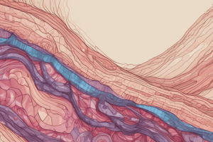 Epithelial Tissue Structure and Function