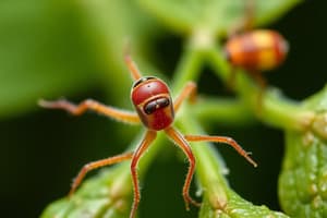 Ciencias y Biología del Mundo Natural