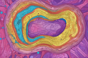 Epithelial Tissue Structure and Development