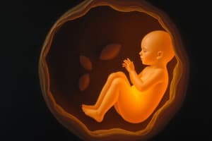 Etapas del Desarrollo In Utero - Periodo Embrionario