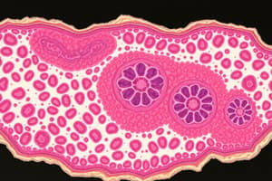 UE 5A - Histologie et Cytologie