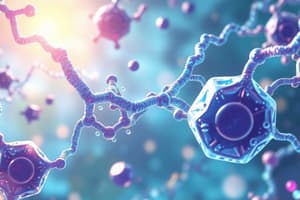 Enzymes Overview Quiz