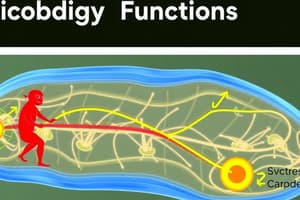 Mastering Biology Chapter 4 Flashcards