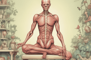 Human Body Systems Overview