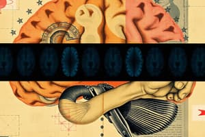 Cognitive Neuroscience Overview