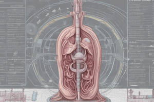 Renal System: RAAS and Filtration Mechanism