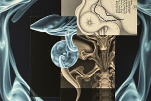 Radiographic Techniques of the Thorax: Larynx