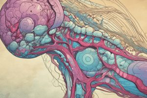 Physiology of the Anterior Pituitary Gland