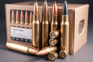 Ammo-45-DL: Introduction to Ammunition