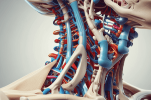 The Cervical Spine PP6012 Quiz