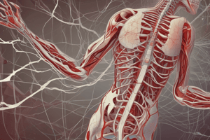 Physiology: Autonomic Nervous System and Blood Flow Regulation