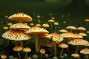 Fungi in Agriculture and Food Industry