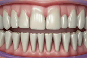 Dental Occlusion Relations