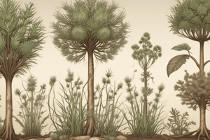 Seed Plants: Gymnosperms & Angiosperms Adaptations