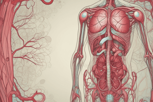 Arteries and Veins: Blood Circulation