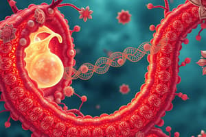 Science 10 Quiz C.2: Cellular Transport