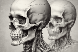 Anatomy of the Head and Neck: Skull and Cranial Fossae