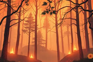 Indicadores de Incendios Forestales