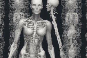 Respiratory Anatomy 1.5