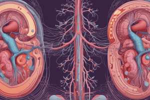 Nephrology: Stages of Acute Kidney Injury