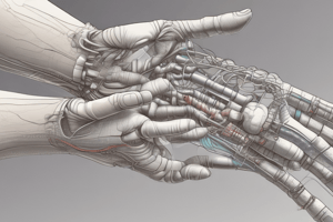 Wrist and Hand Nerve Entrapment Syndromes Quiz