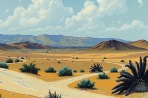 Desert Landscapes