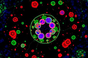 Biologie Cellulaire: Réplication et Cytogramme