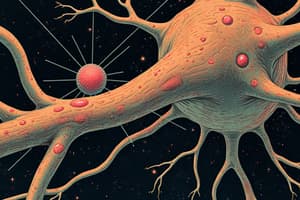 Nervous System and Neuron Structure