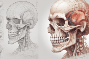 Oral and Craniofacial Developmental Biology Revision